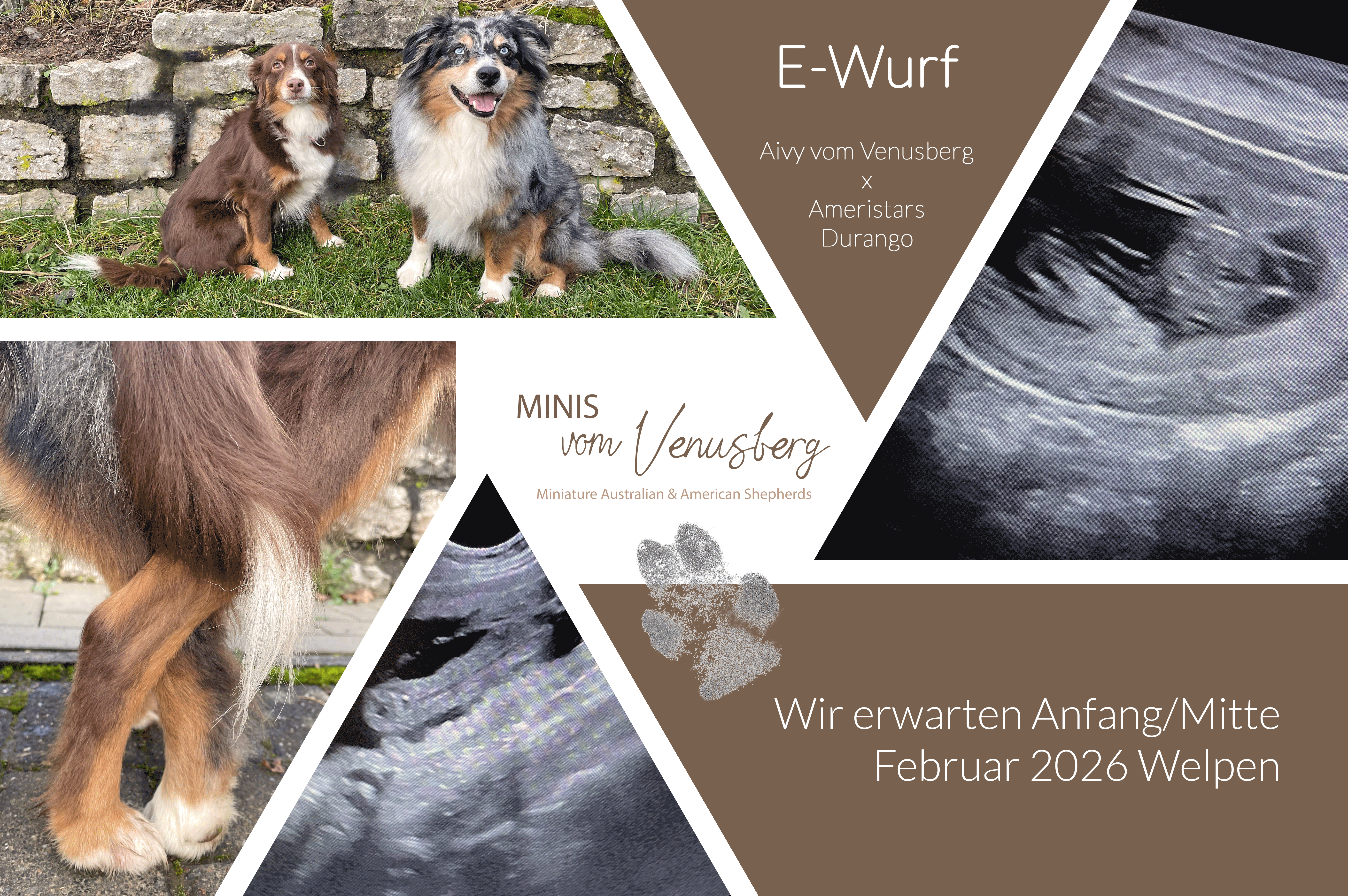 E-Wurf